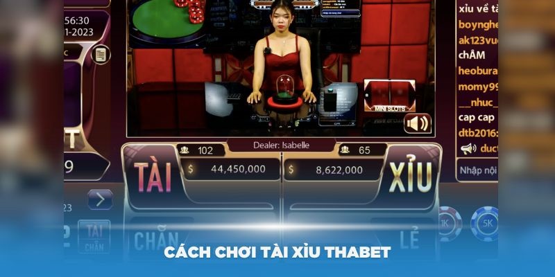 Quy tắc chơi game tài xỉu Thabet